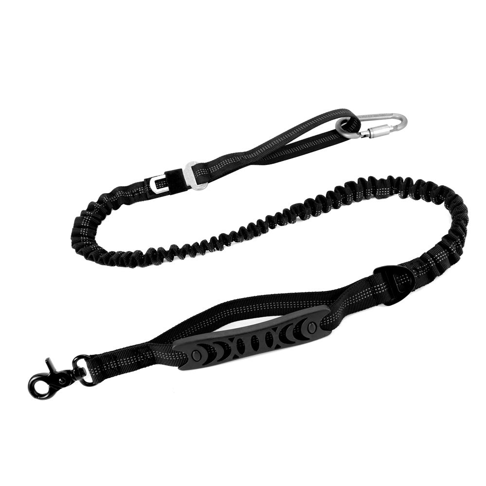 Secure Bungee Dog Leash for Walks and Rides