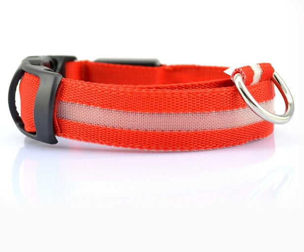 LED Dog Collar for Safer Night Walks