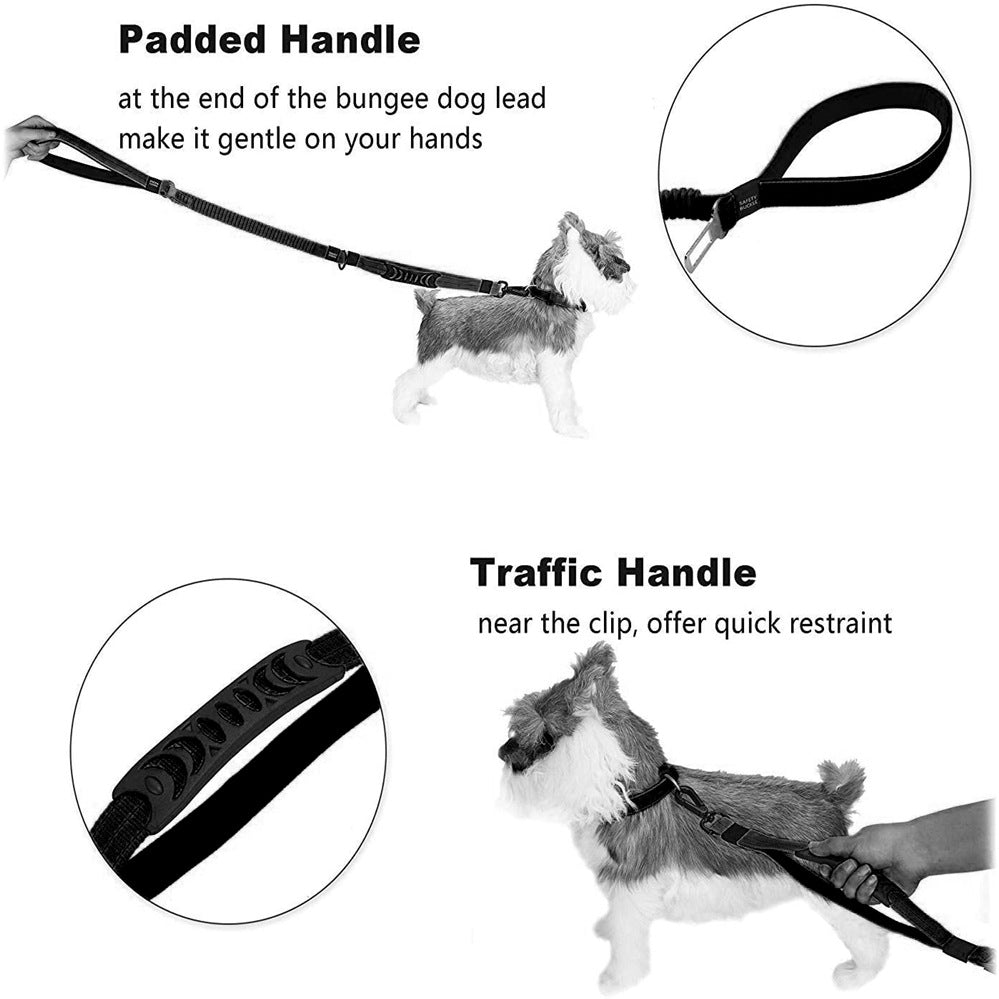 Secure Bungee Dog Leash for Walks and Rides