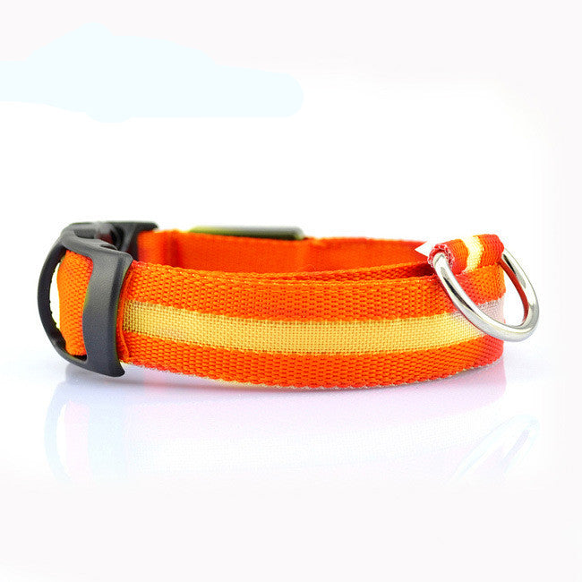 LED Dog Collar for Safer Night Walks