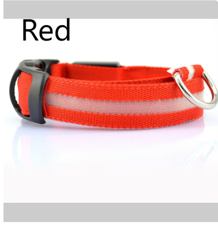 LED Dog Collar for Safer Night Walks