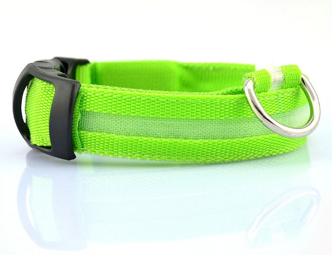 LED Dog Collar for Safer Night Walks
