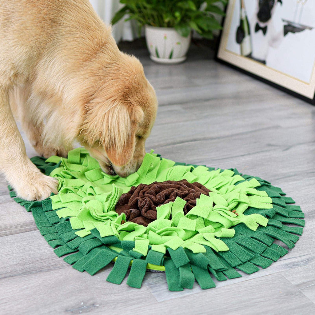 Dog Sniffing Mat for Training, Play, and Treats
