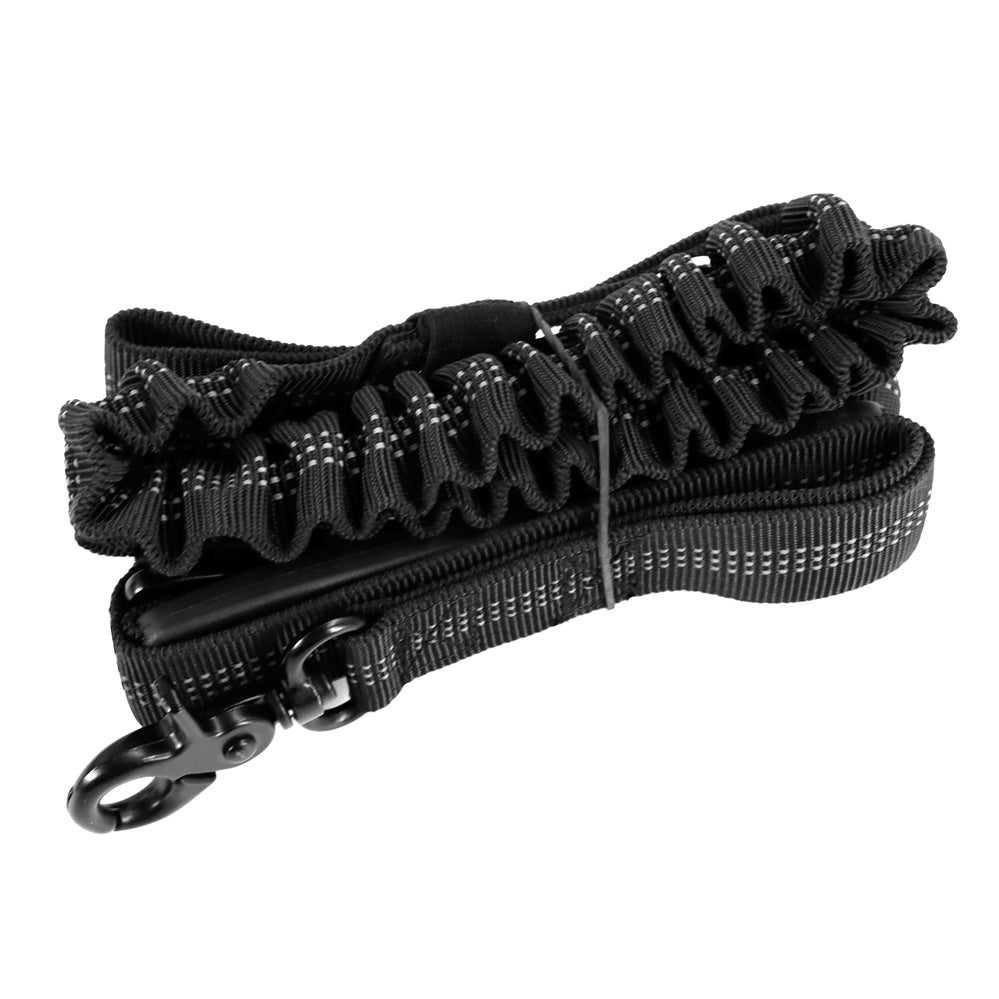 Secure Bungee Dog Leash for Walks and Rides