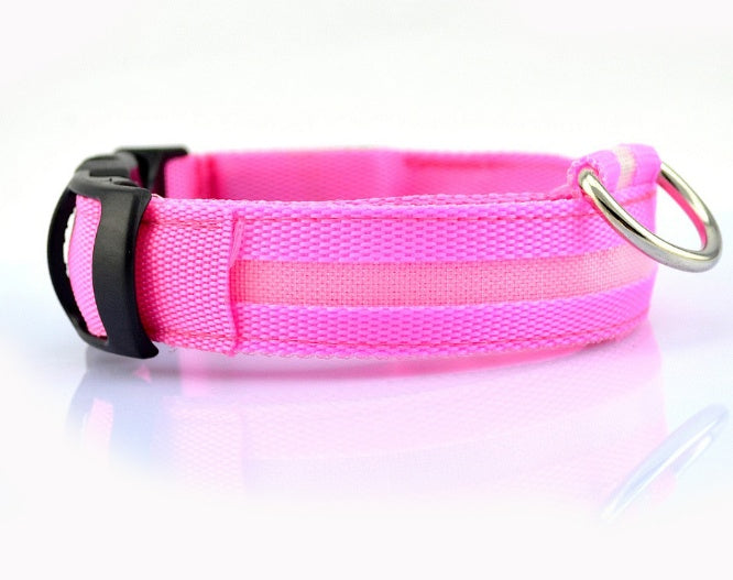 LED Dog Collar for Safer Night Walks