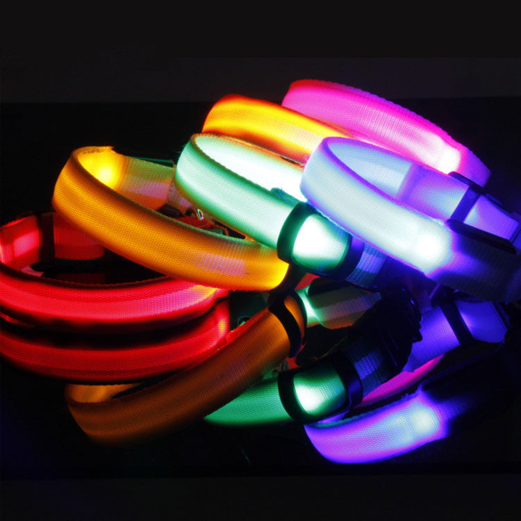 LED Dog Collar for Safer Night Walks