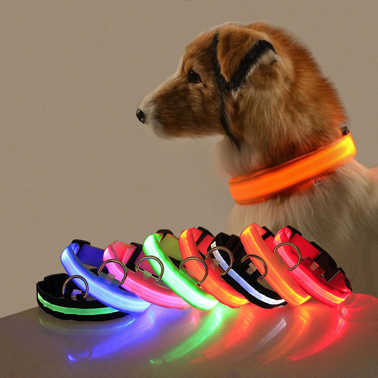 LED Dog Collar for Safer Night Walks