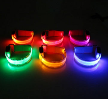 LED Dog Collar for Safer Night Walks