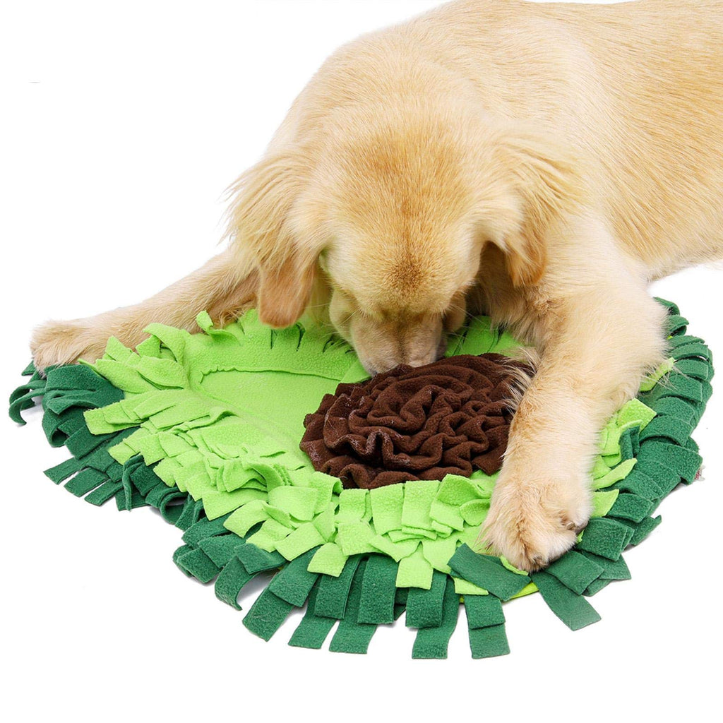 Dog Sniffing Mat for Training, Play, and Treats