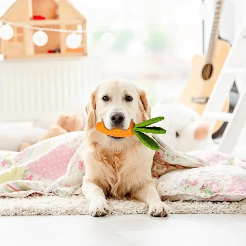 Cute Carrot Chew Toy for Healthy Playtime