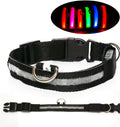 LED Dog Collar for Safer Night Walks
