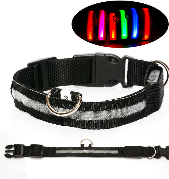 LED Dog Collar for Safer Night Walks
