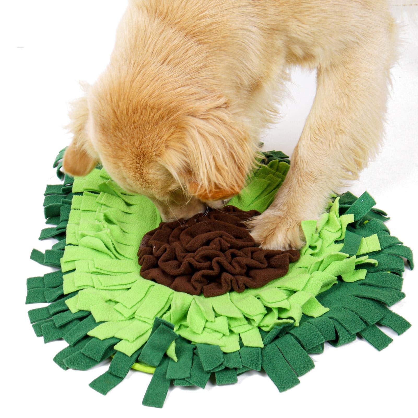 Dog Sniffing Mat for Training, Play, and Treats