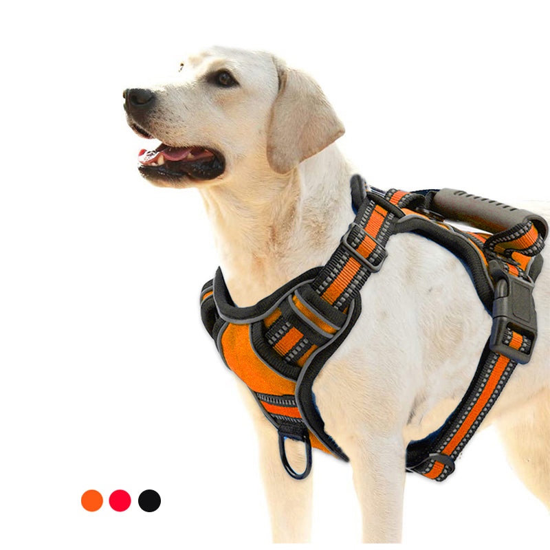 No-Pull Dog Harness for Comfortable, Stress-Free Walks
