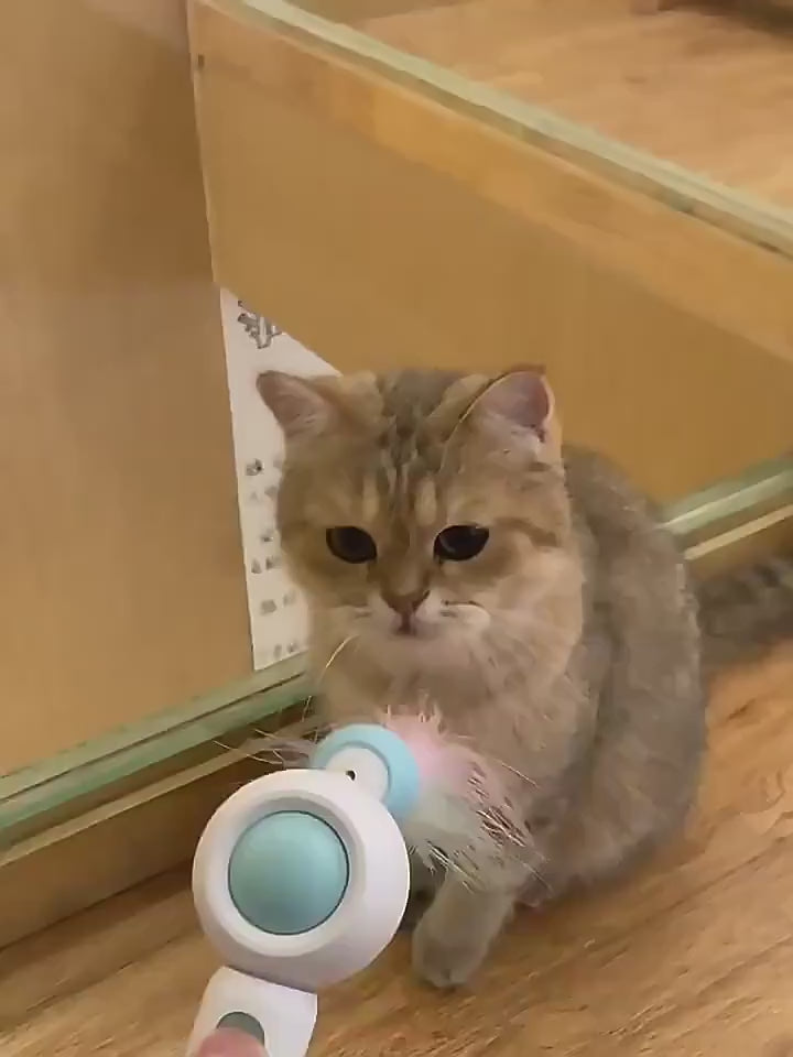 Retractable Cat Wand Toy for Active Indoor Cats