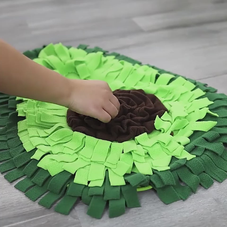 Dog Sniffing Mat for Training, Play, and Treats