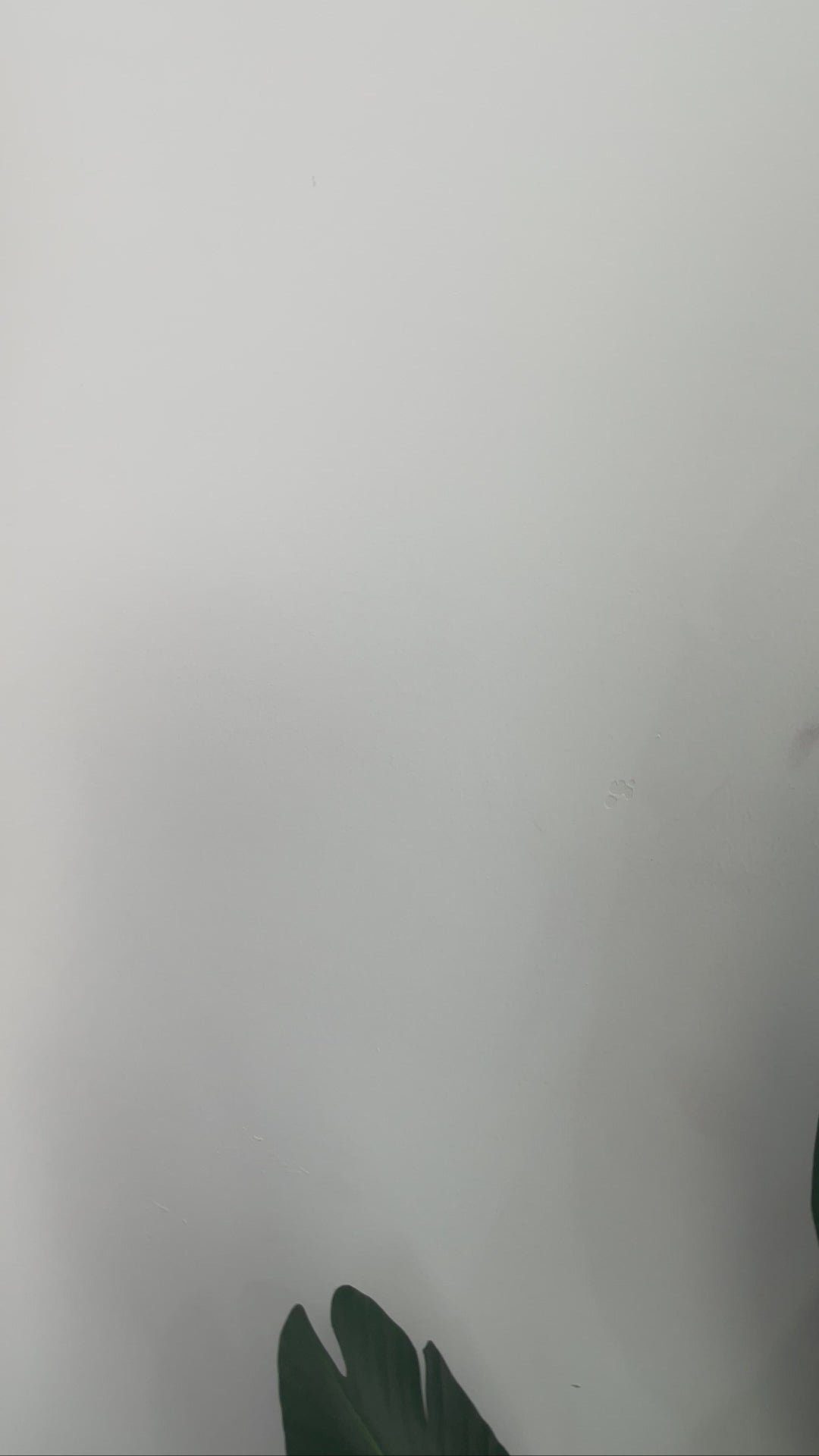 Simple Roller Brush for Fast Pet Hair Removal