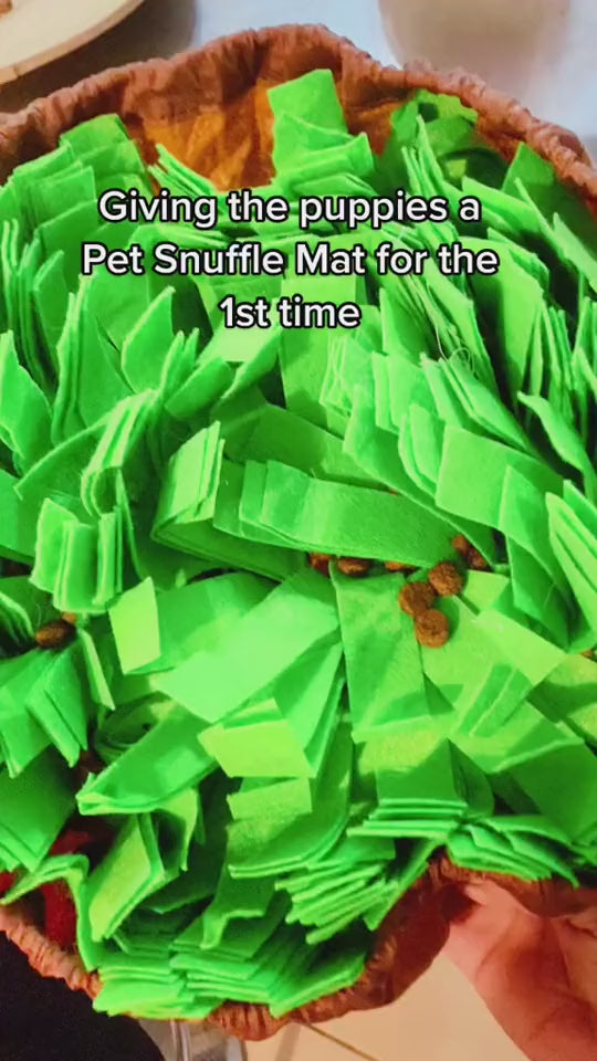 Dog Sniffing Mat for Training, Play, and Treats