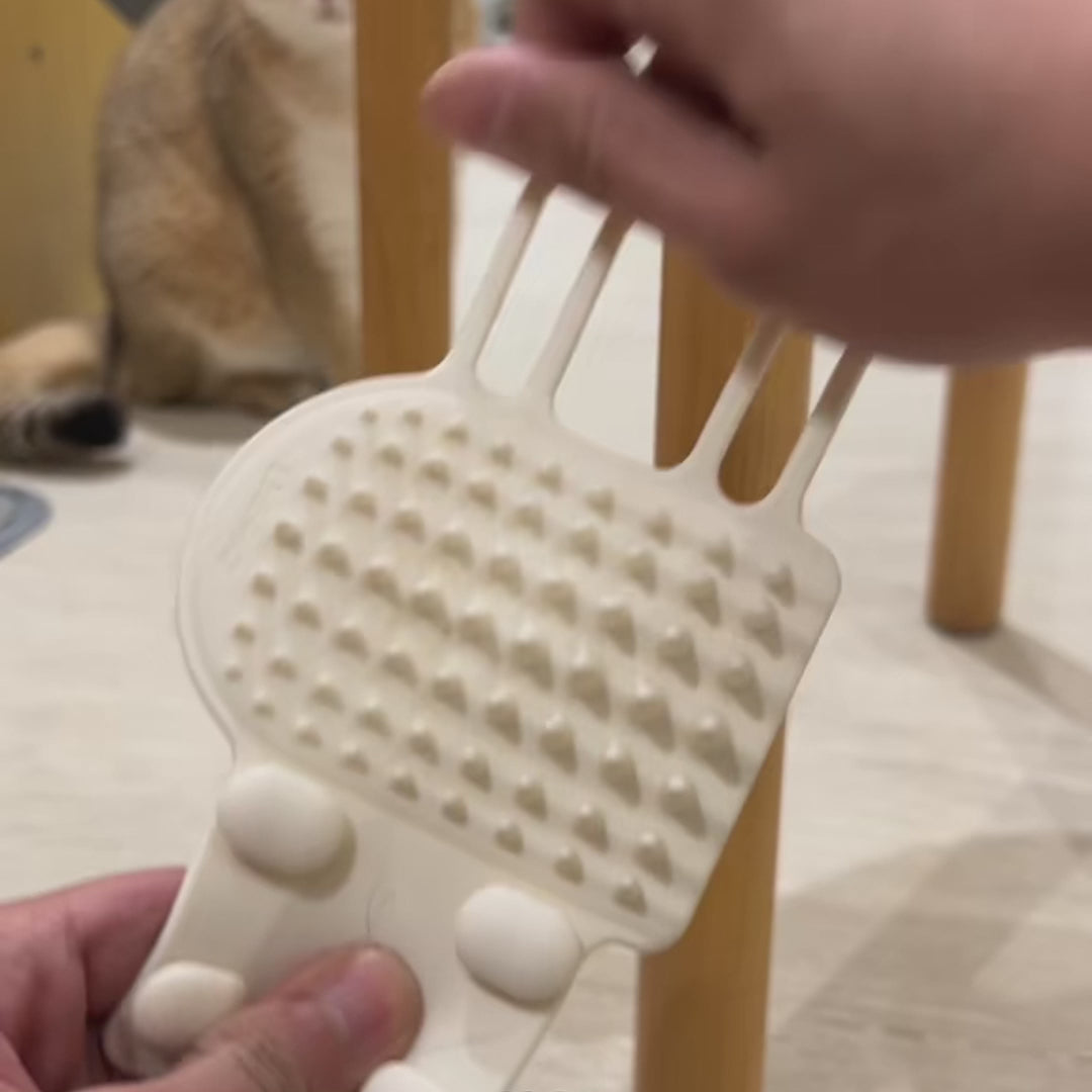 Self-Grooming Cat Scratcher Brush for Fur Control